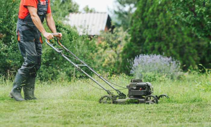 10 Best Shoes for Cutting Grass